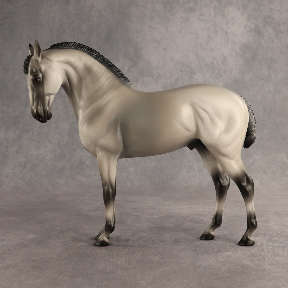 Valen LE-15 EFCM Andalusian by Anna Rieck PFP26