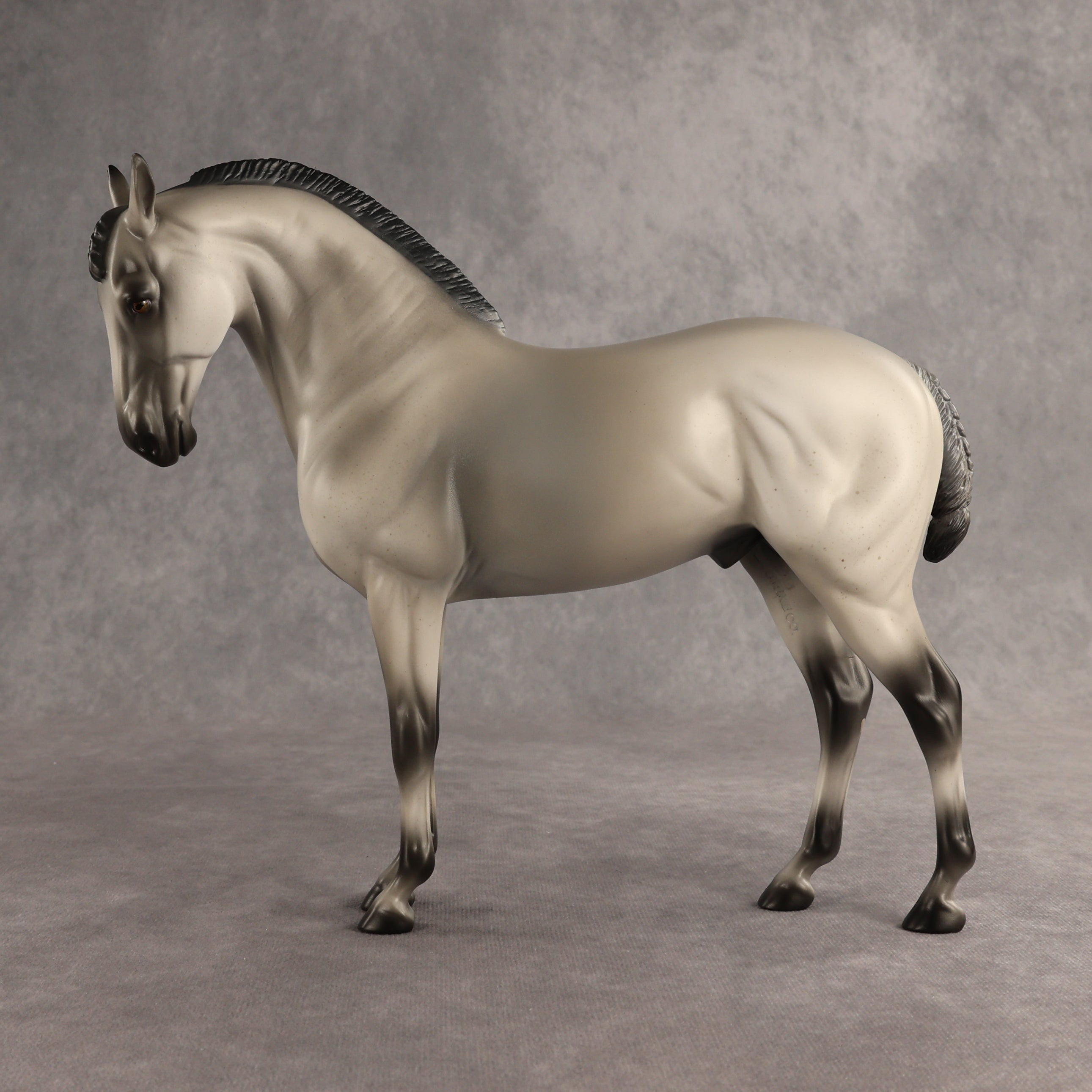 Valen LE-15 EFCM Andalusian by Anna Rieck PFP26