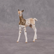 Valla OOAK Chip Foal by Anna Rieck EQ26