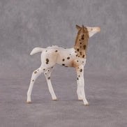 Valla OOAK Chip Foal by Anna Rieck EQ26