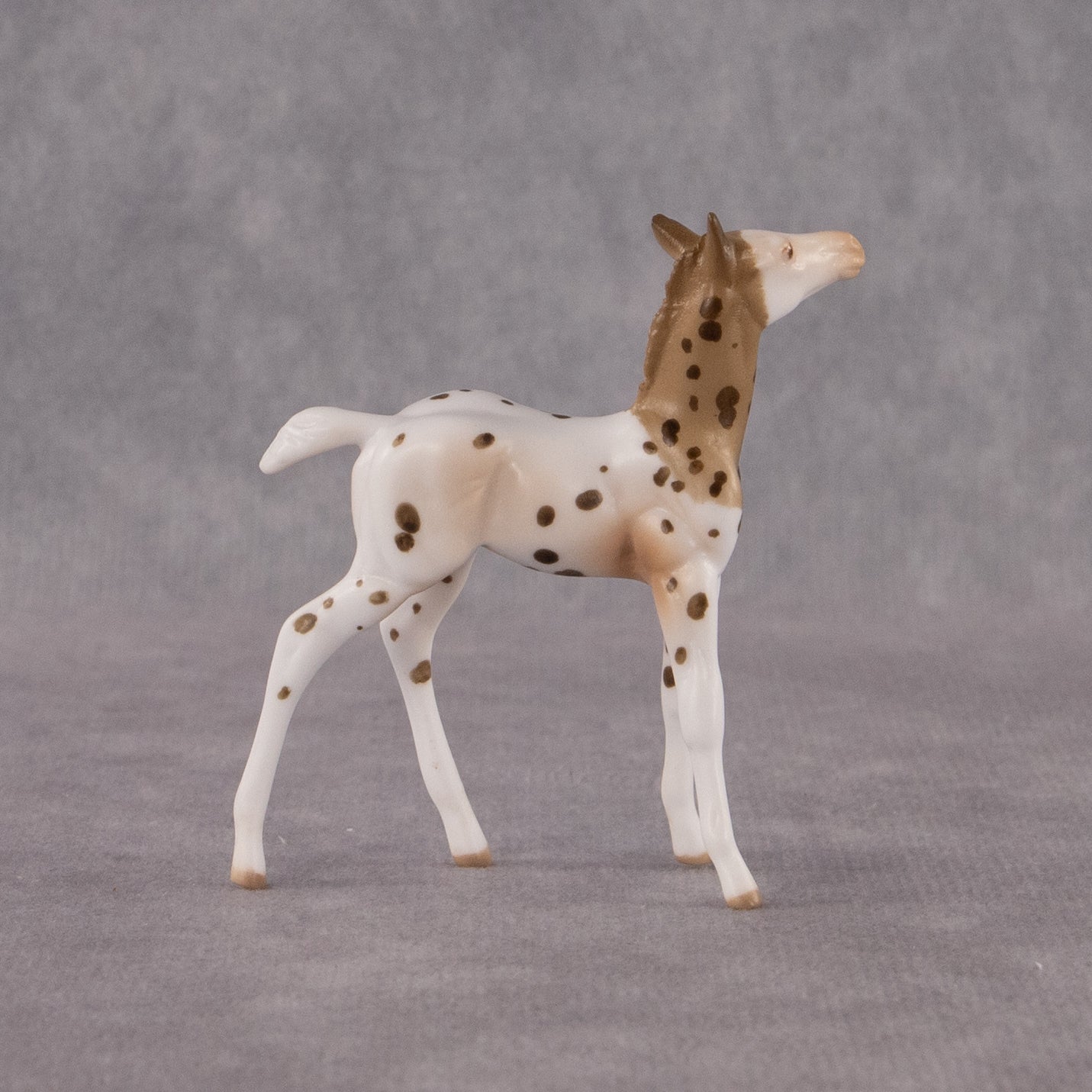 Valla OOAK Chip Foal by Anna Rieck EQ26