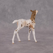 Valla OOAK Chip Foal by Anna Rieck EQ26