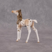 Valla OOAK Chip Foal by Anna Rieck EQ26