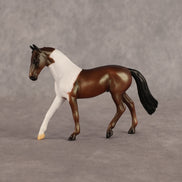 Vampire Shimmer OOAK Chip Warmblood by Alex Fortman EQ26