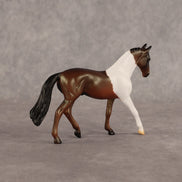 Vampire Shimmer OOAK Chip Warmblood by Alex Fortman EQ26