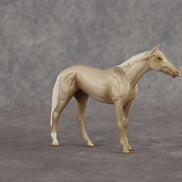 Vanilla  OOAK Chip Thoroughbred  by Madi Wiseman EQ26
