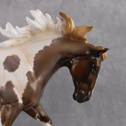 Velour OOAK EFCM Irish Cob by Kristen Cermele Best Offer 10.6.2026