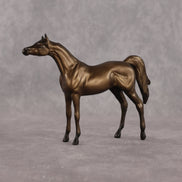 Vesuvius OOAK Chip Arabian by Alex Fortman LHS26