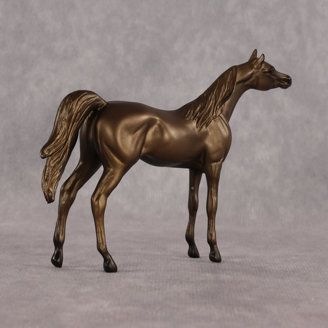 Vesuvius OOAK Chip Arabian by Alex Fortman LHS26
