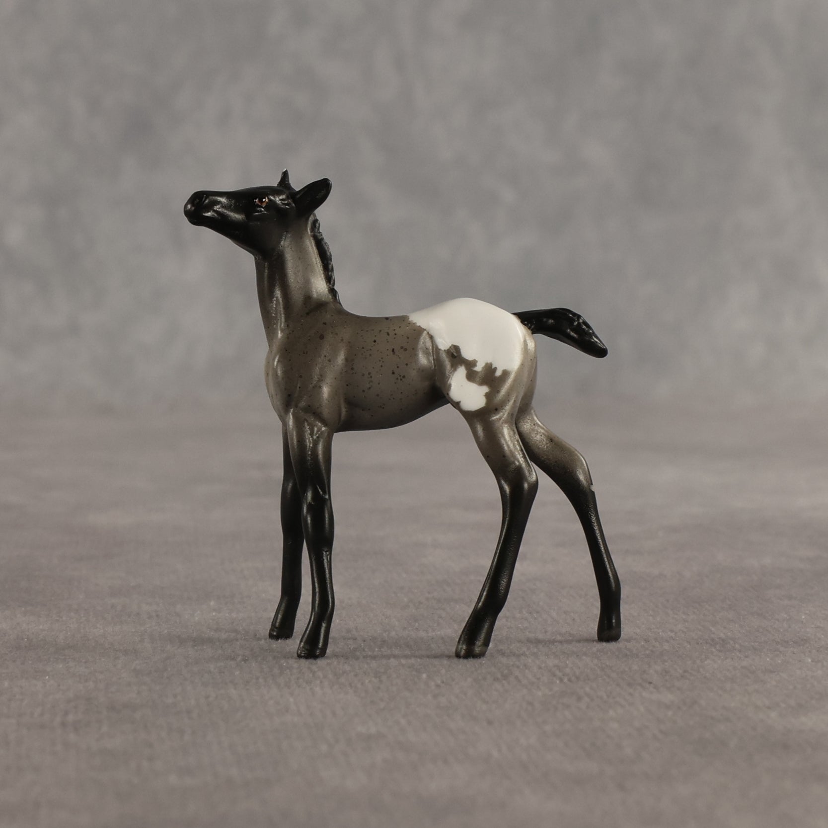 Ivy & Vine OOAK Chip FCM Stock Horse & Chip Foal by Anna Rieck SCD26