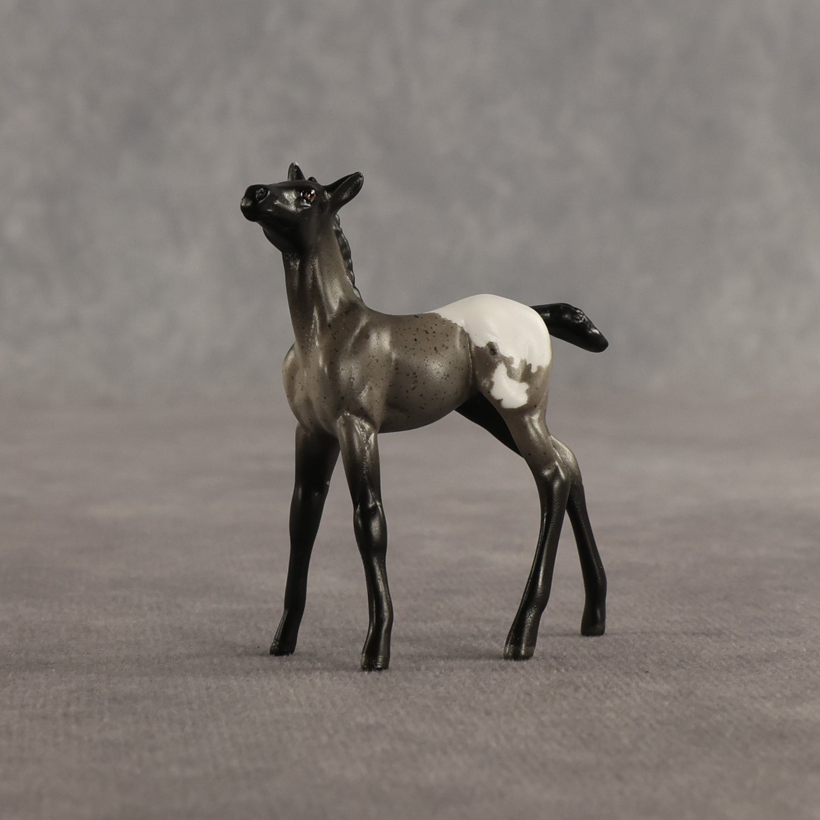 Ivy & Vine OOAK Chip FCM Stock Horse & Chip Foal by Anna Rieck SCD26