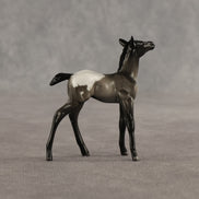 Ivy & Vine OOAK Chip FCM Stock Horse & Chip Foal by Anna Rieck SCD26