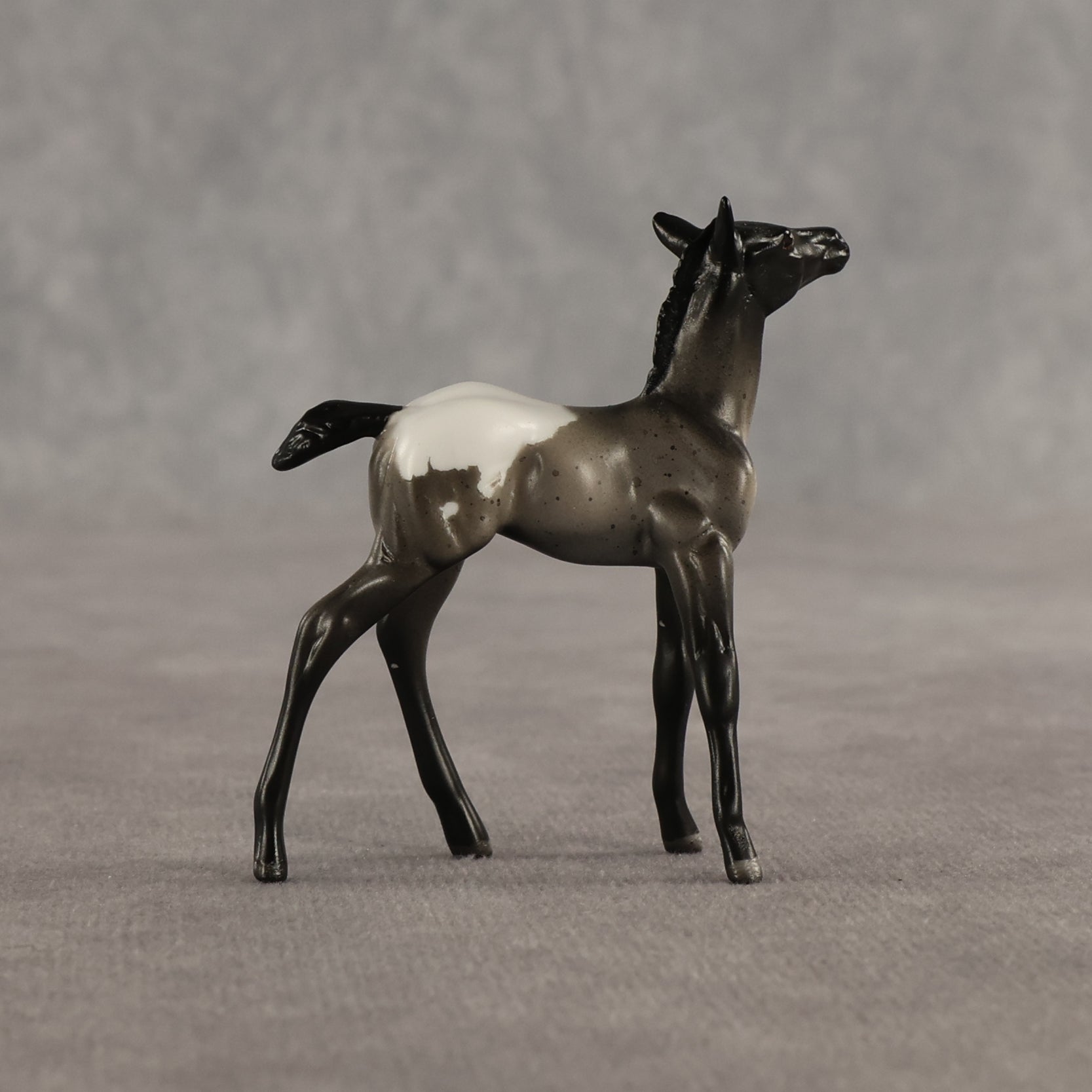 Ivy & Vine OOAK Chip FCM Stock Horse & Chip Foal by Anna Rieck SCD26