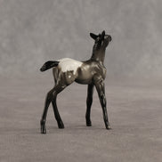 Ivy & Vine OOAK Chip FCM Stock Horse & Chip Foal by Anna Rieck SCD26