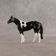 Violet & Daffodil OOAK Chip FCM Stock Horse & Chip Foal by Anna Rieck SCD26