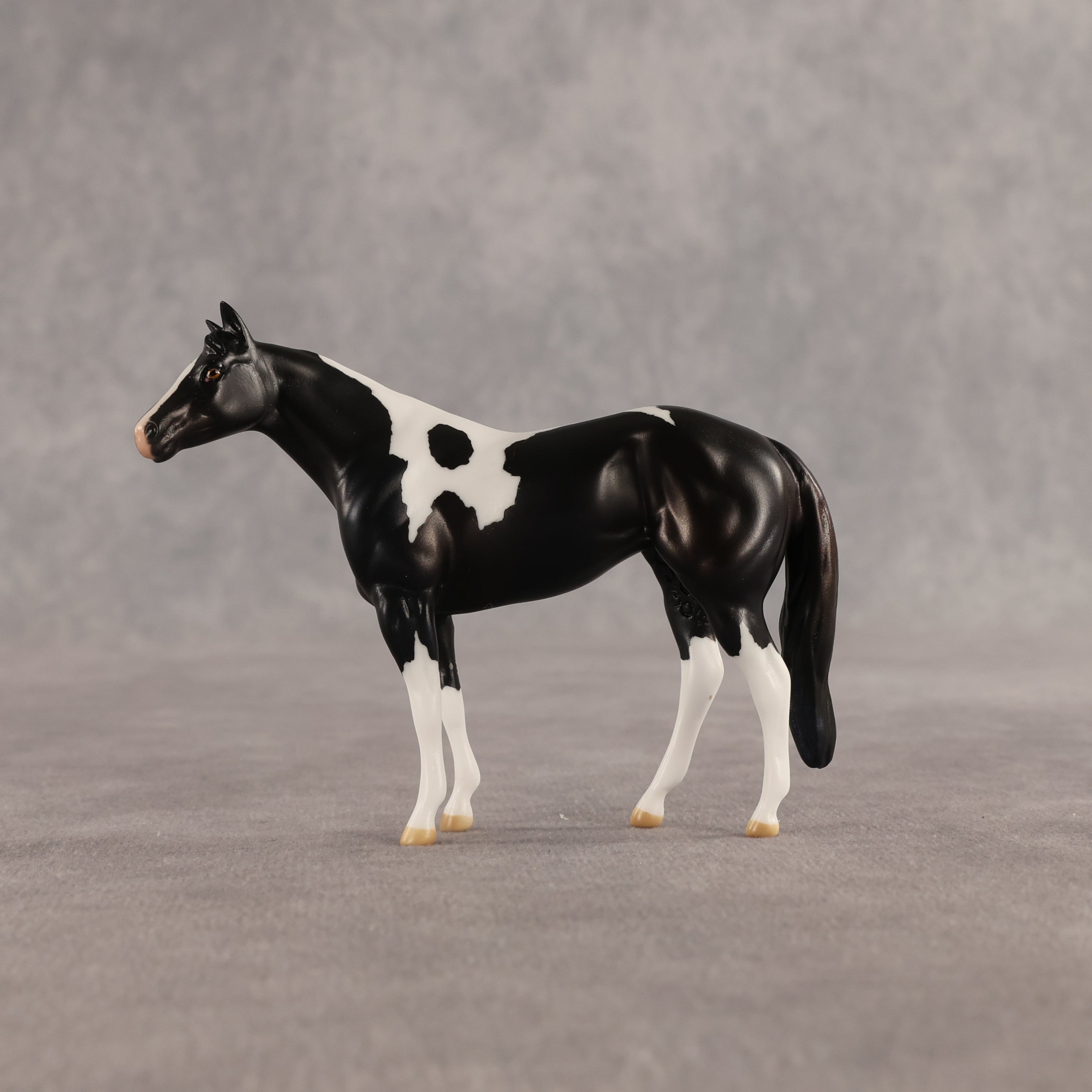 Violet & Daffodil OOAK Chip FCM Stock Horse & Chip Foal by Anna Rieck SCD26