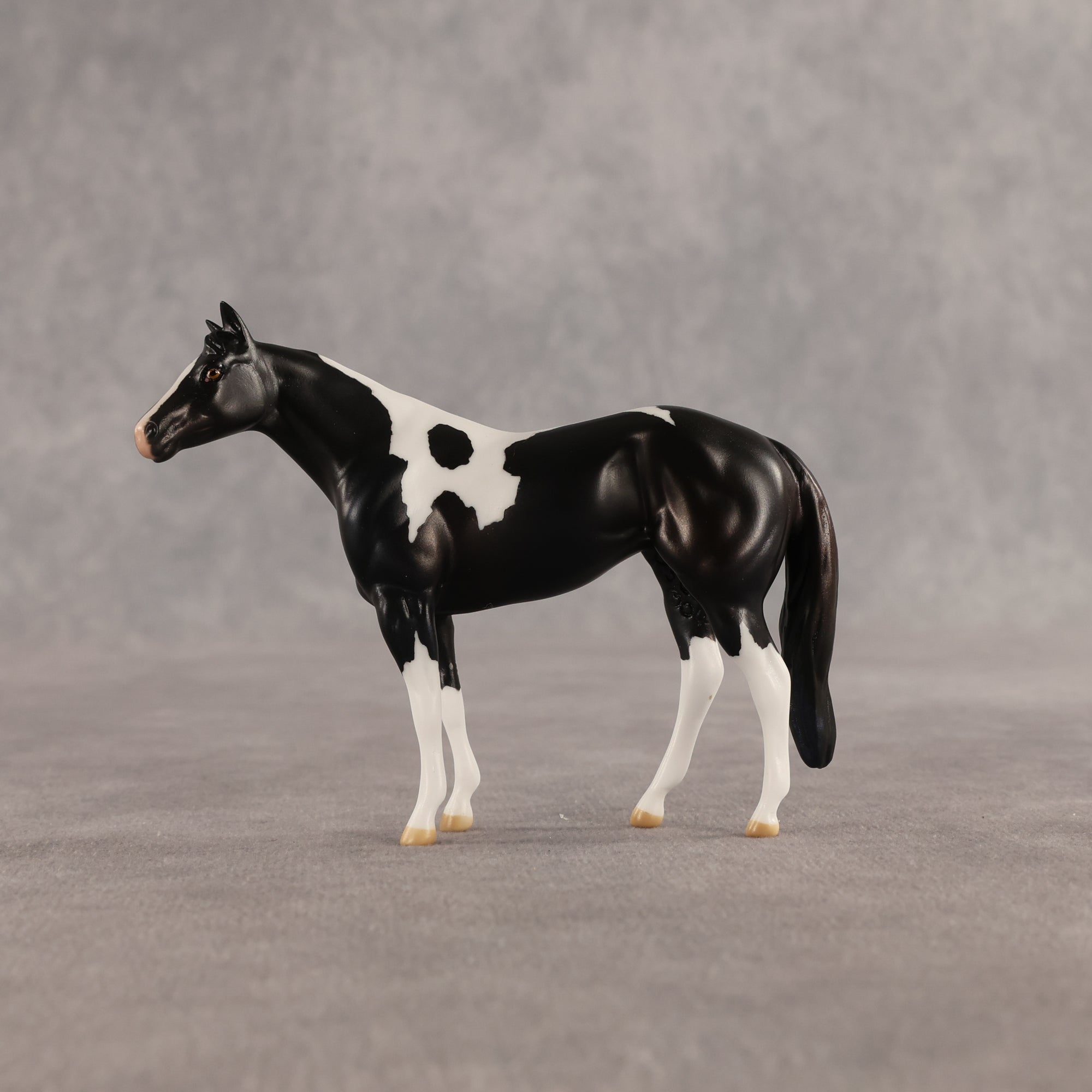 Violet &amp; Daffodil OOAK Chip FCM Stock Horse &amp; Chip Foal by Anna Rieck SCD26