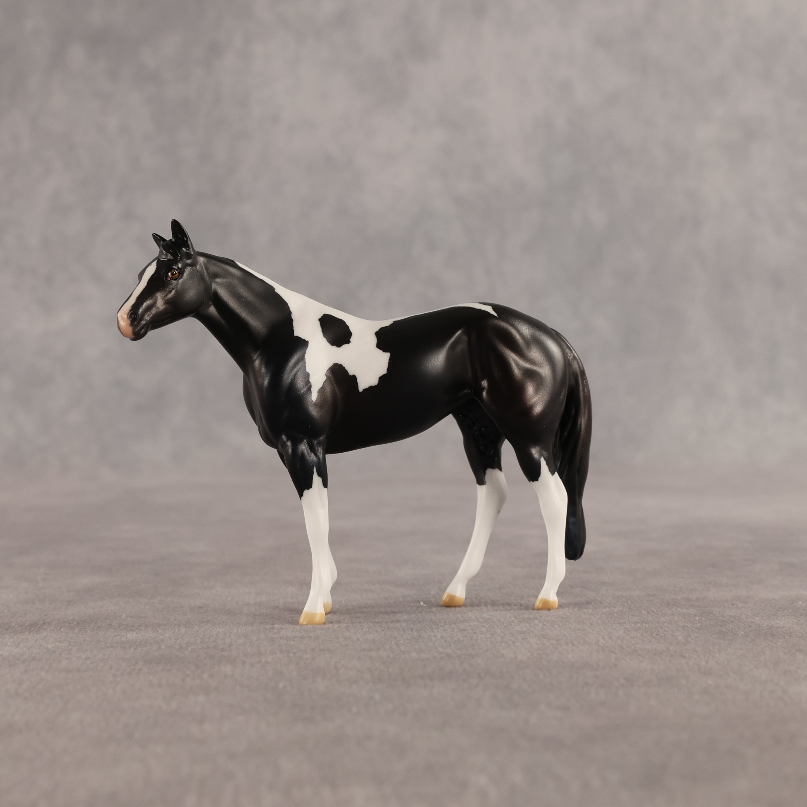 Violet & Daffodil OOAK Chip FCM Stock Horse & Chip Foal by Anna Rieck SCD26