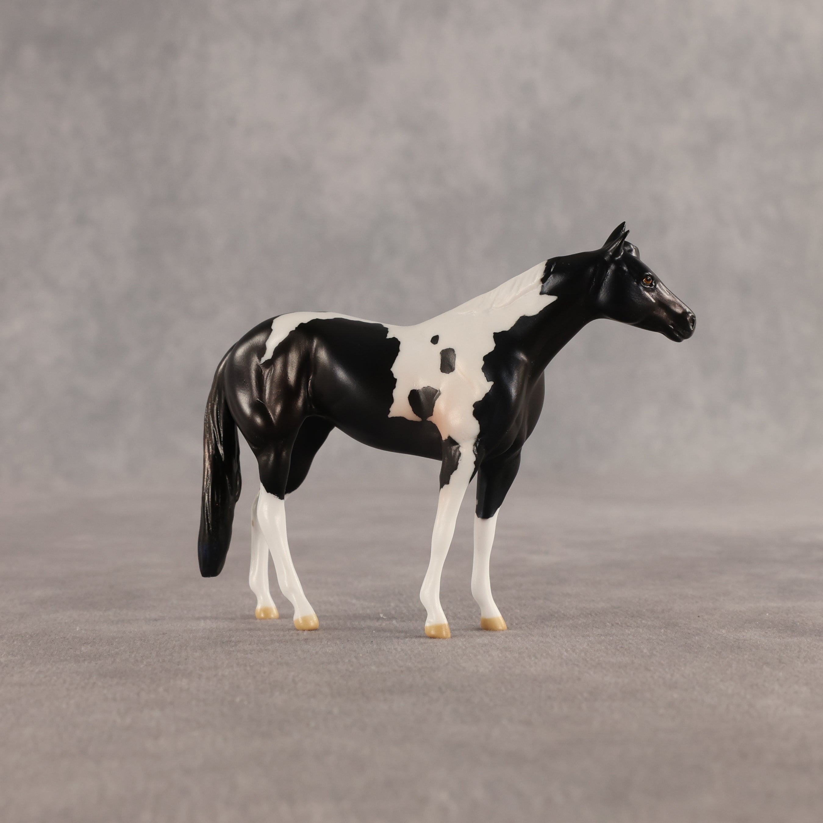 Violet & Daffodil OOAK Chip FCM Stock Horse & Chip Foal by Anna Rieck SCD26