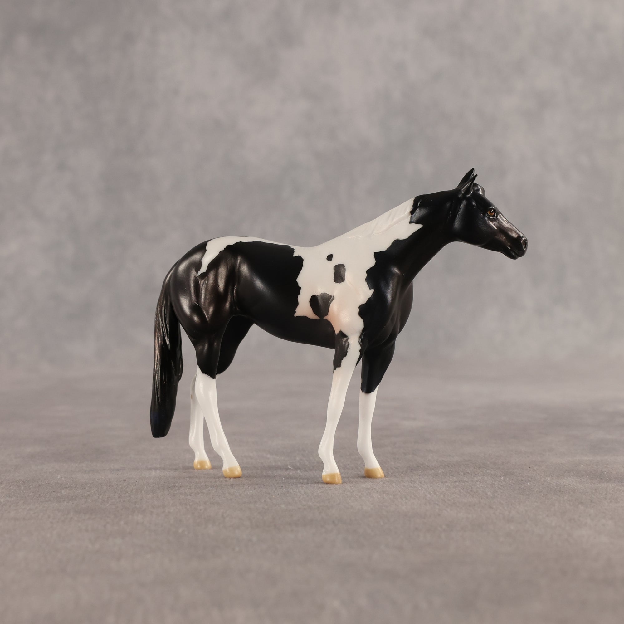 Violet &amp; Daffodil OOAK Chip FCM Stock Horse &amp; Chip Foal by Anna Rieck SCD26