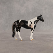 Violet & Daffodil OOAK Chip FCM Stock Horse & Chip Foal by Anna Rieck SCD26