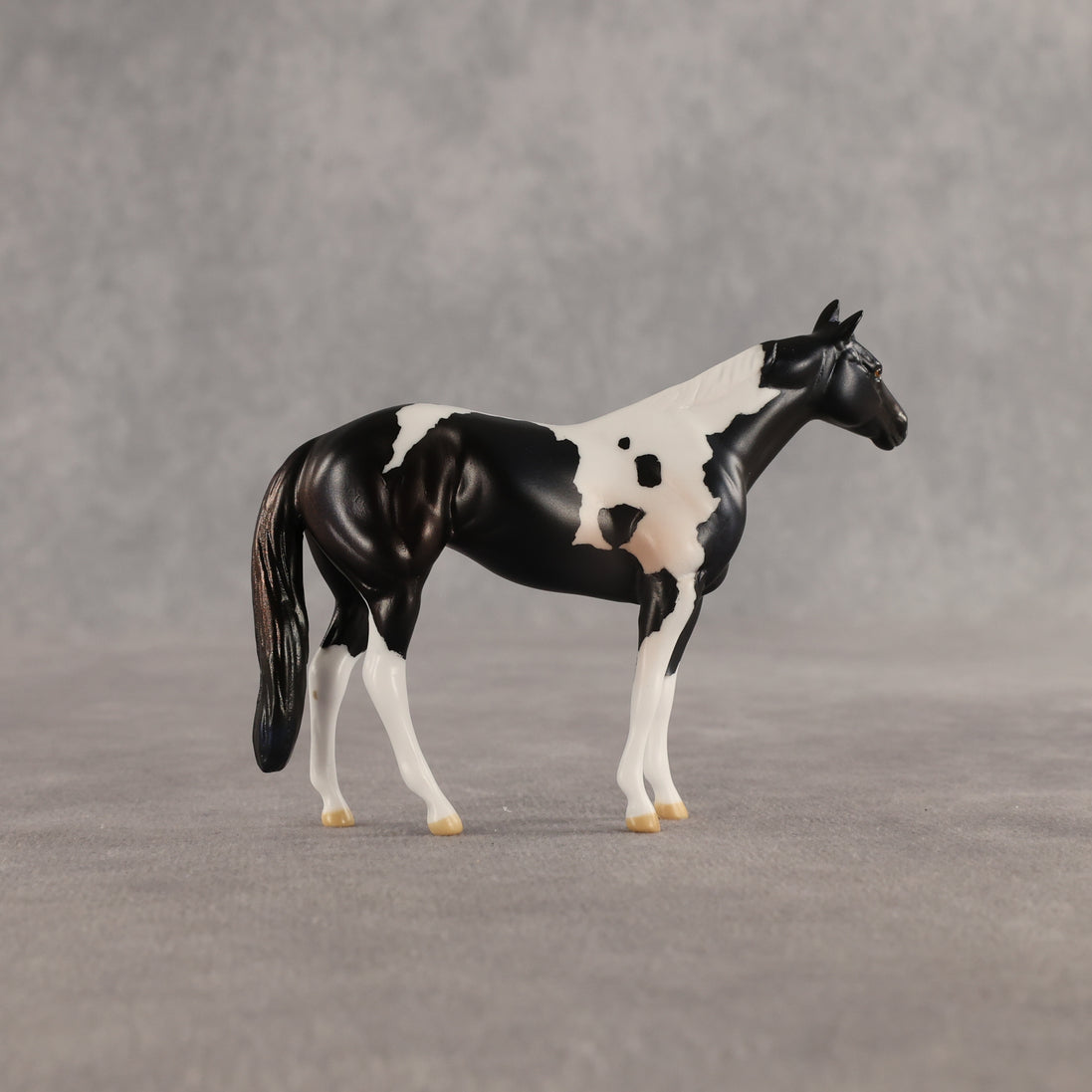Violet & Daffodil OOAK Chip FCM Stock Horse & Chip Foal by Anna Rieck SCD26