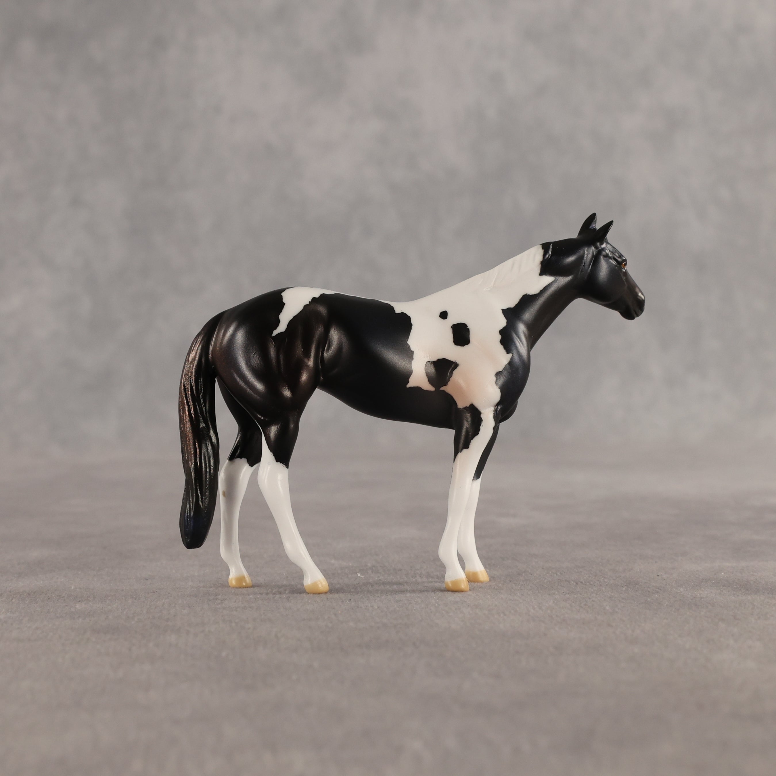 Violet & Daffodil OOAK Chip FCM Stock Horse & Chip Foal by Anna Rieck SCD26