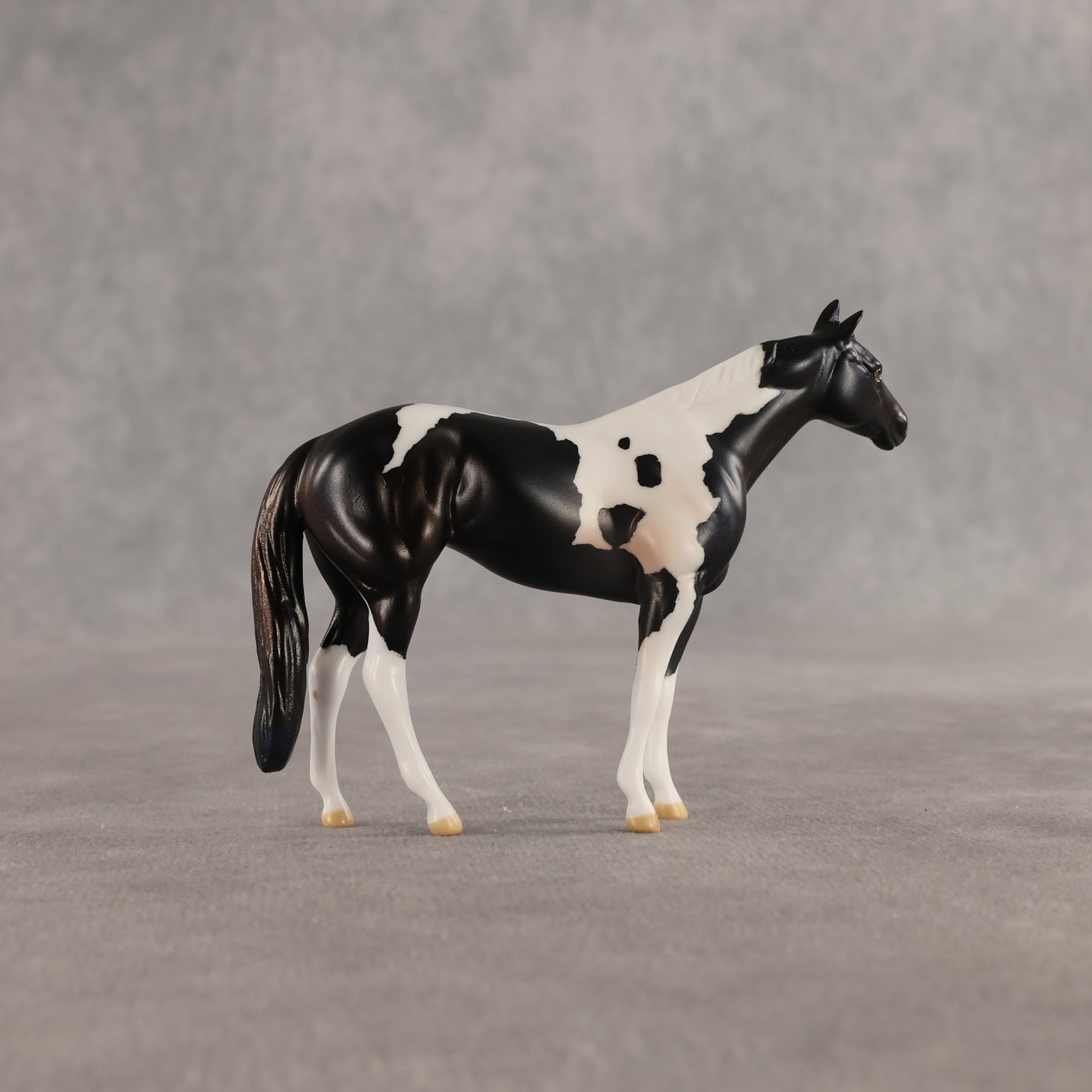 Violet &amp; Daffodil OOAK Chip FCM Stock Horse &amp; Chip Foal by Anna Rieck SCD26