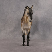 Walking on Sunshine OOAK FCM Andalusian by Mindy Berg Best Offer 10.20.2026