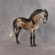 Walking on Sunshine OOAK FCM Andalusian by Mindy Berg Best Offer 10.20.2026