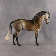 Walking on Sunshine OOAK FCM Andalusian by Mindy Berg Best Offer 10.20.2026