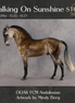 Walking on Sunshine OOAK FCM Andalusian by Mindy Berg Best Offer 10.20.2026