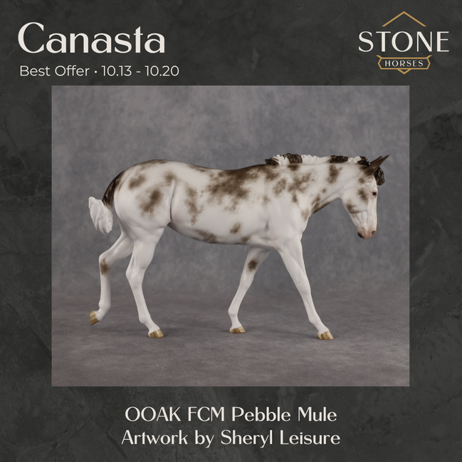 Canasta OOAK FCM Pebble Mule by Sheryl Leisure Best Offer 10.13.2026