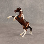 Warm Front OOAK FCM Chip Mustang by Ellen Robbins SHCF26