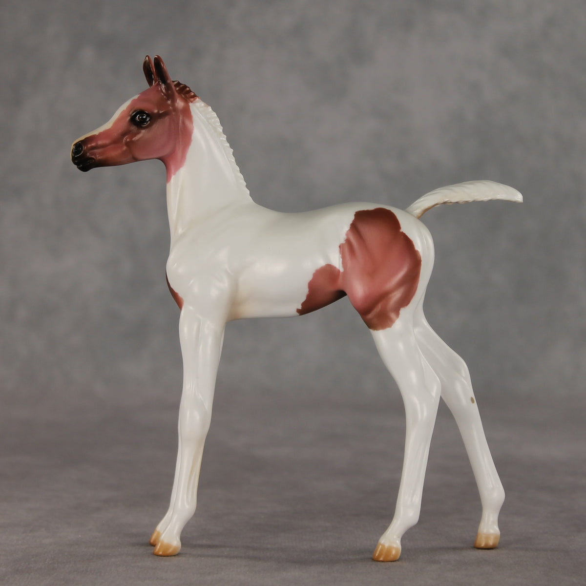 Washing Machine Heart OOAK FCM Arabian Foal by Julie Keim VV26