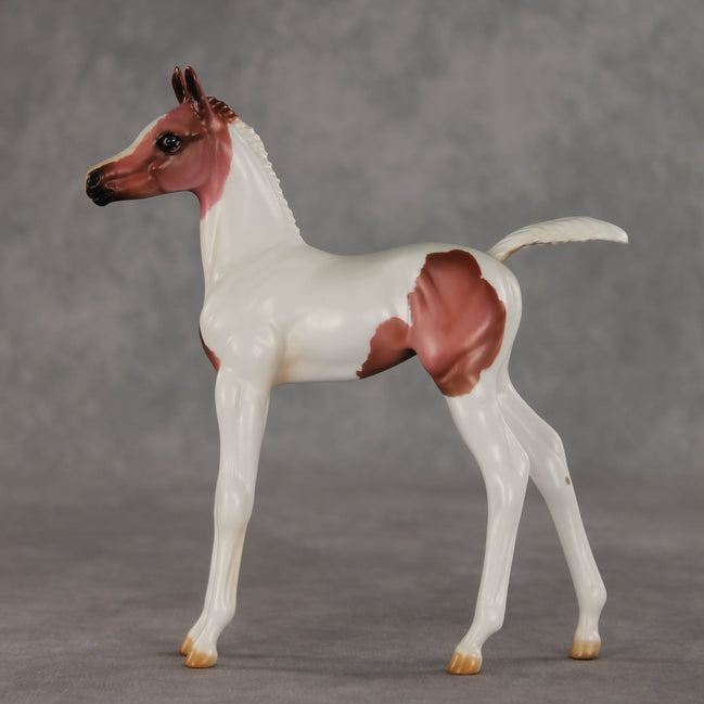 Washing Machine Heart OOAK FCM Arabian Foal by Julie Keim VV26