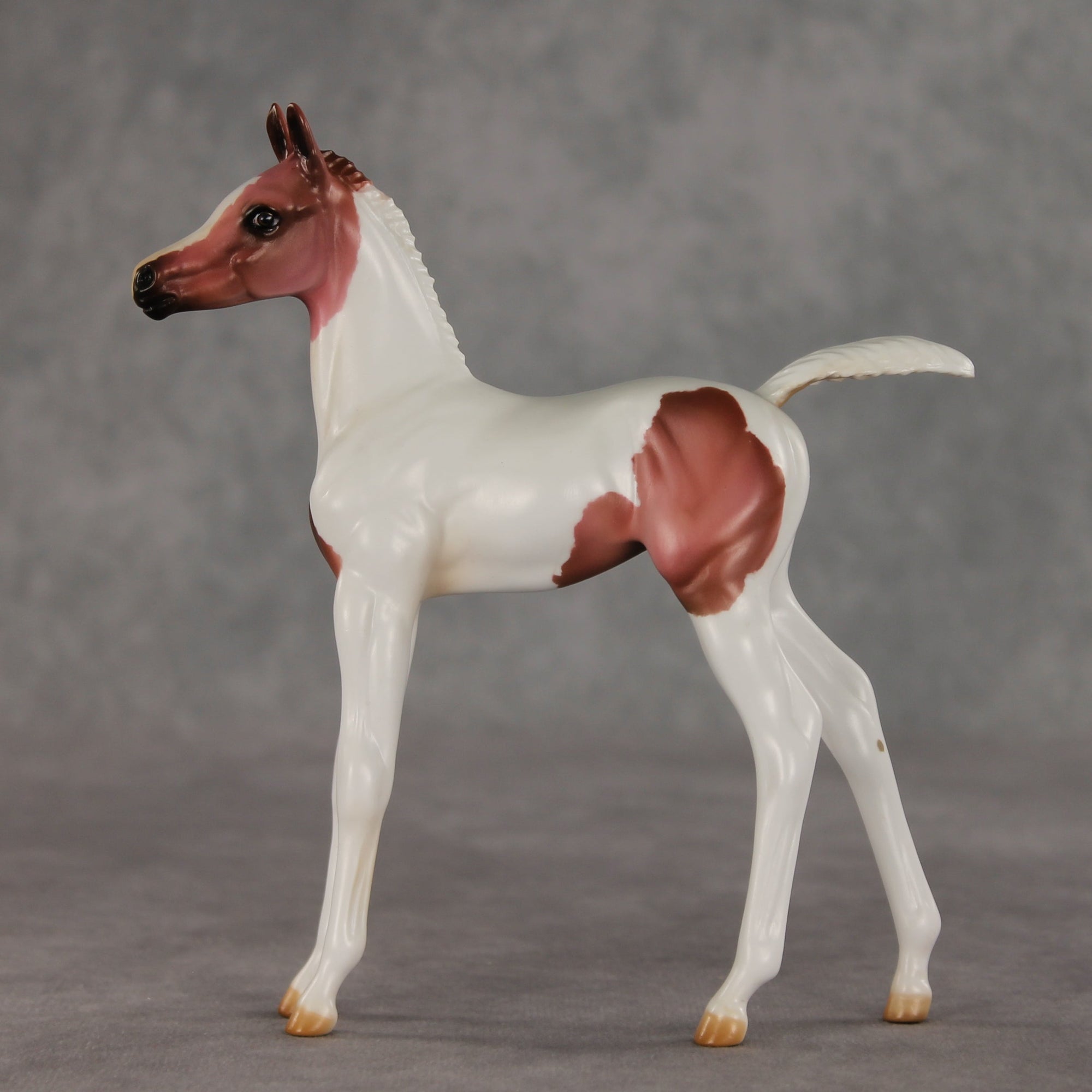 Washing Machine Heart OOAK FCM Arabian Foal by Julie Keim VV26