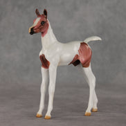 Washing Machine Heart OOAK FCM Arabian Foal by Julie Keim VV26