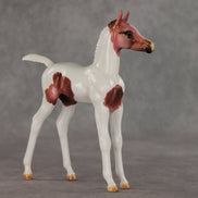 Washing Machine Heart OOAK FCM Arabian Foal by Julie Keim VV26