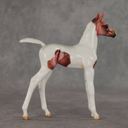 Washing Machine Heart OOAK FCM Arabian Foal by Julie Keim VV26