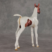 Washing Machine Heart OOAK FCM Arabian Foal by Julie Keim VV26