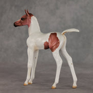 Washing Machine Heart OOAK FCM Arabian Foal by Julie Keim VV26