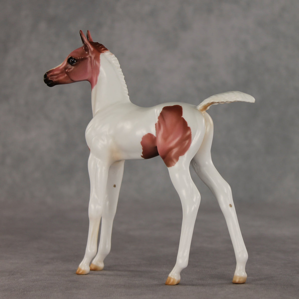 Washing Machine Heart OOAK FCM Arabian Foal by Julie Keim VV26