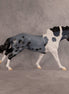 Wave OOAK FCM Remington by Madi Wiseman EQ26
