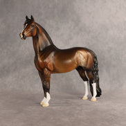 Well Dun OOAK Morgan by Dawn Quick SHCF26