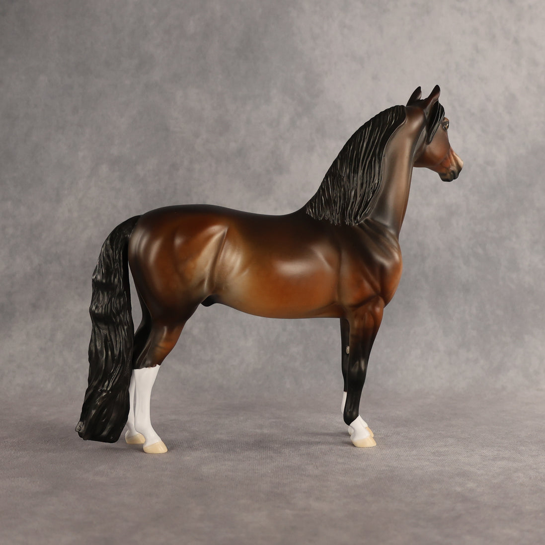 Well Dun OOAK Morgan by Dawn Quick SHCF26