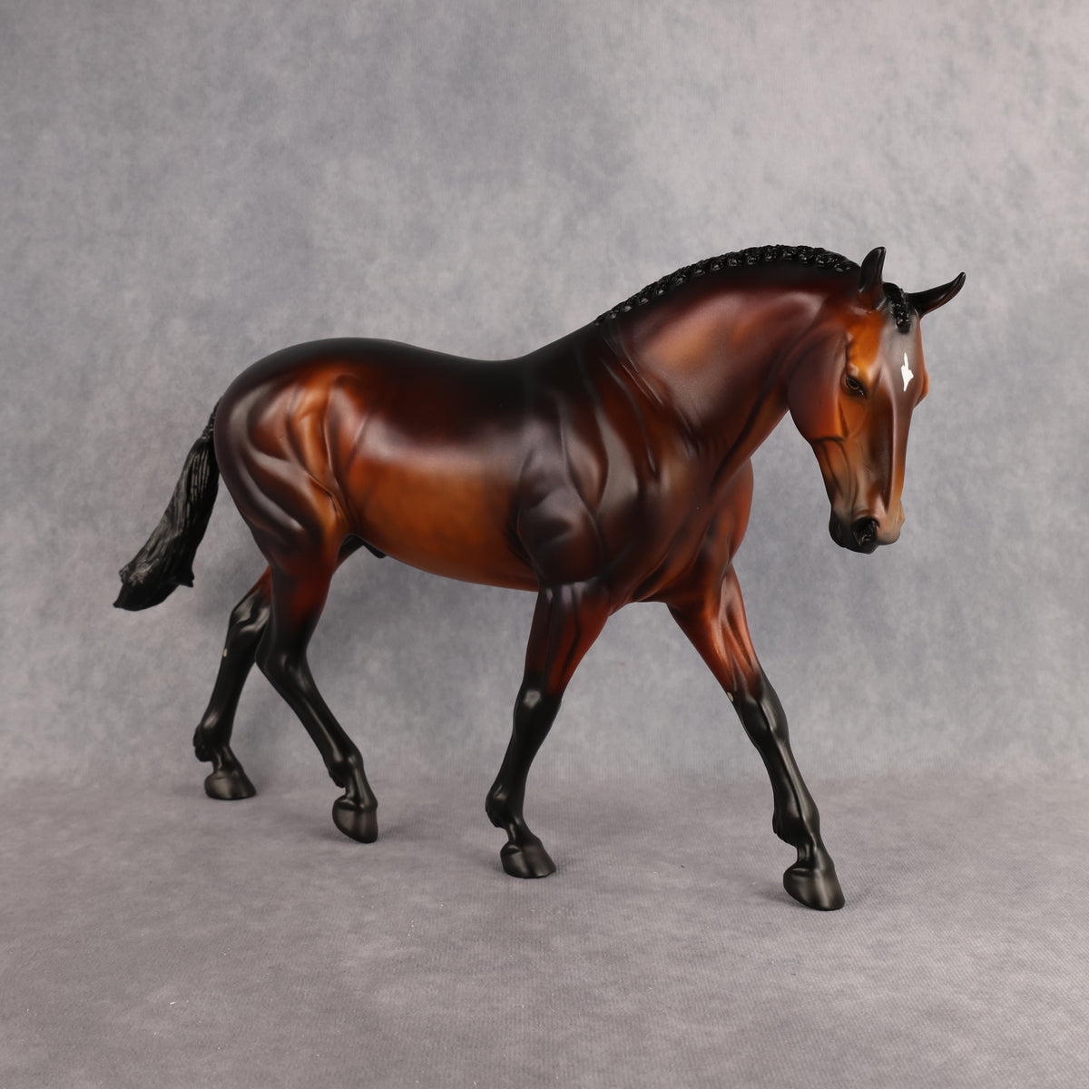Wellington LE-15 FCM Irish Draught by Anna Rieck PFP26