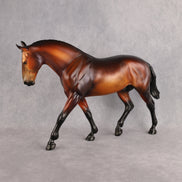Wellington LE-15 FCM Irish Draught by Anna Rieck PFP26