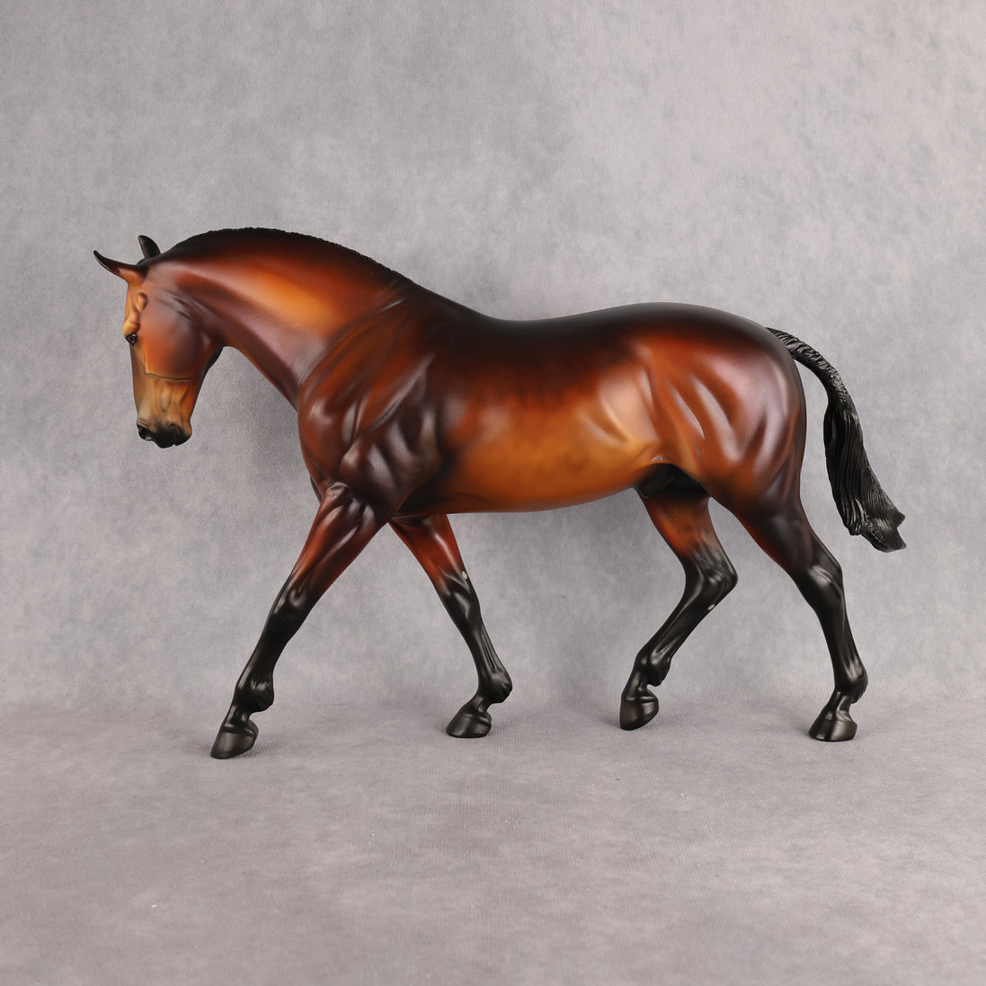 Wellington LE-15 FCM Irish Draught by Anna Rieck PFP26