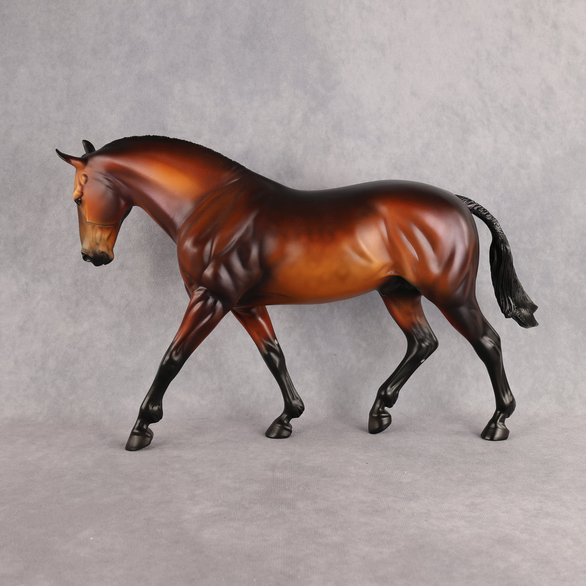 Wellington LE-15 FCM Irish Draught by Anna Rieck PFP26